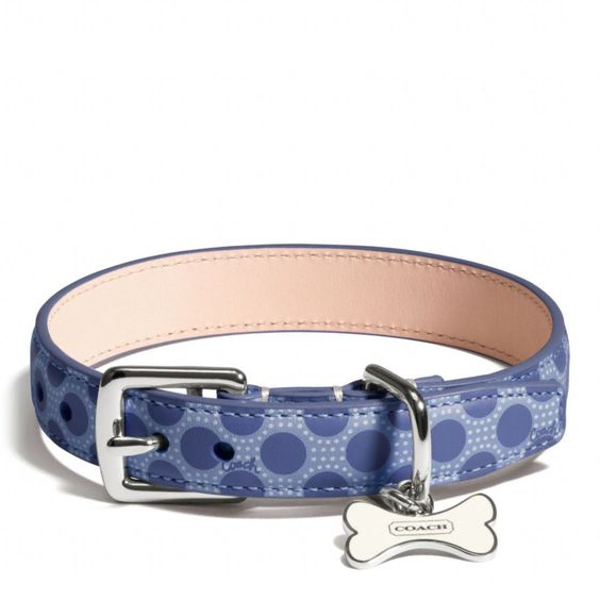 COLLARIN-img