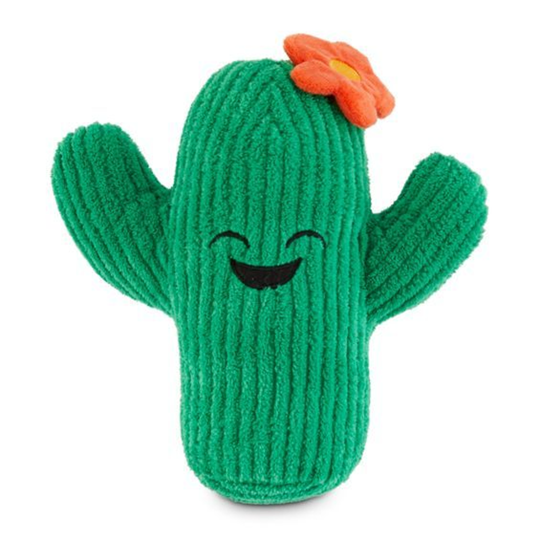 Juguete cactus-img
