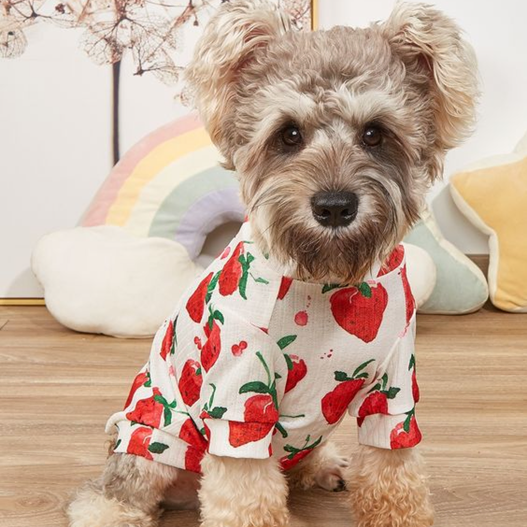 Camisón cachorro image